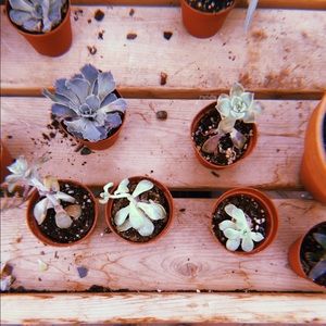 Meet your Posher, Meredithe